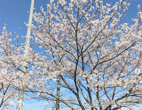 お山一安い自販機