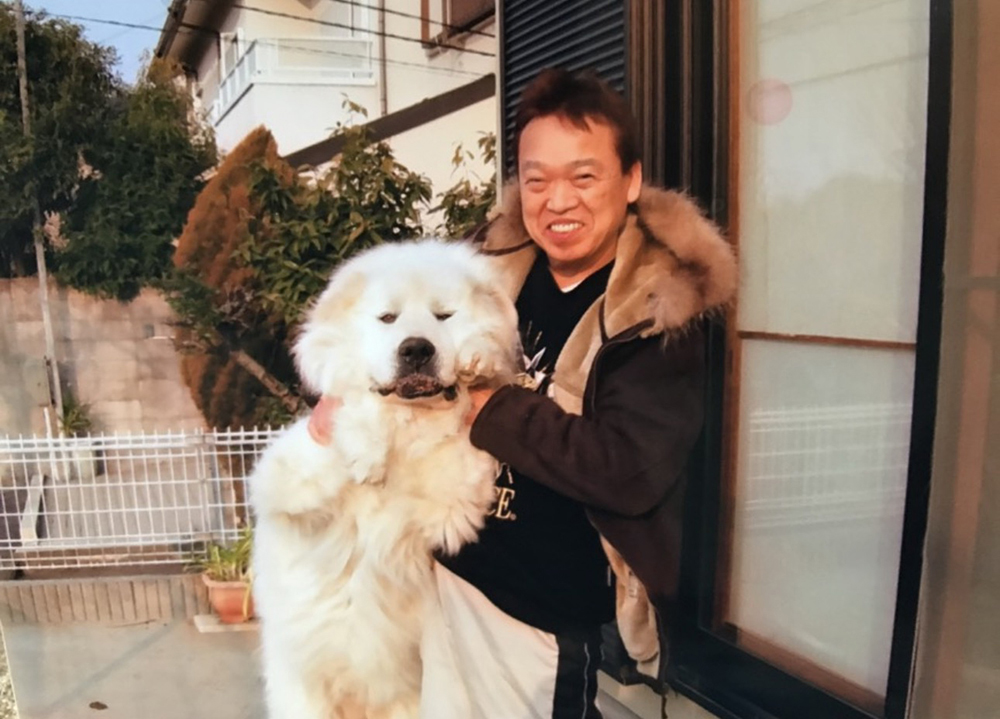 飼い犬のロッキー