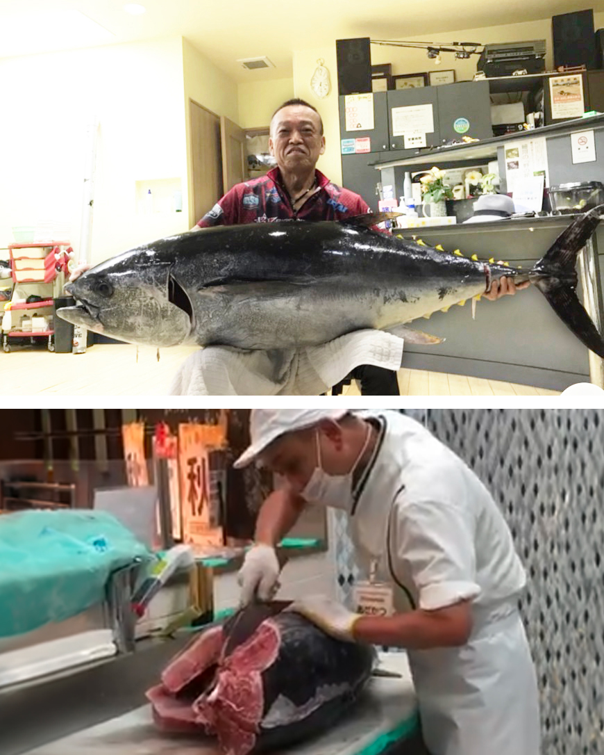 80キロにもなる大きなマグロ