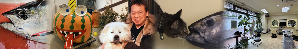 伏尾台の有「名人」インタビュー