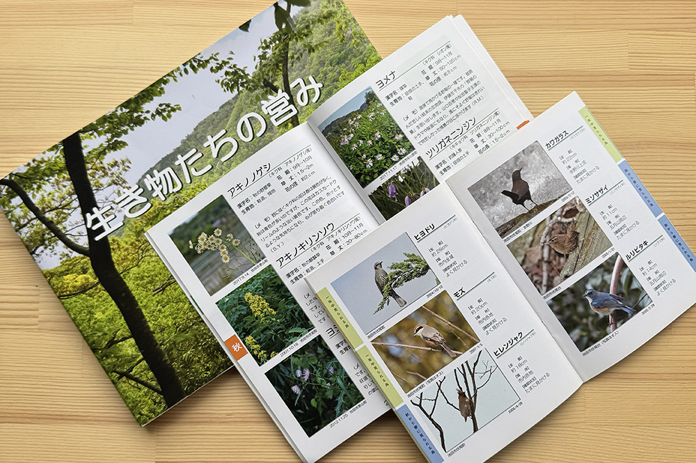 写真集・冊子