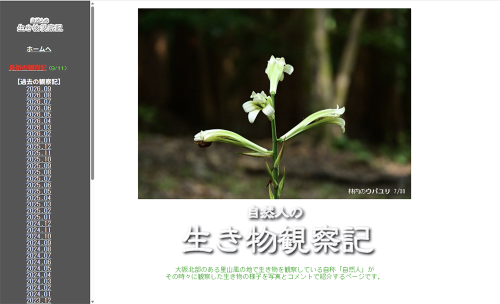 自然人の生き物観察記
