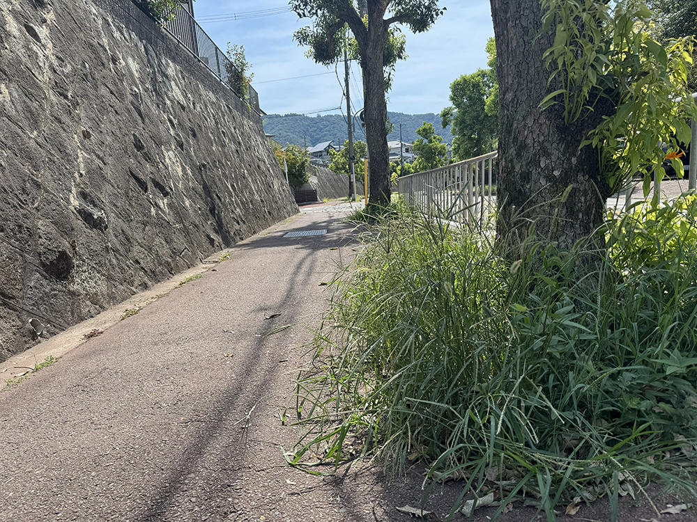 旧第二コミセン前歩道