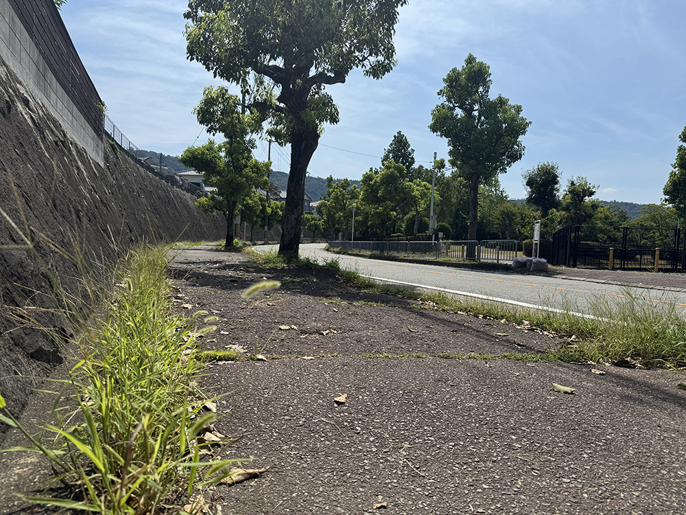 西公園前歩道