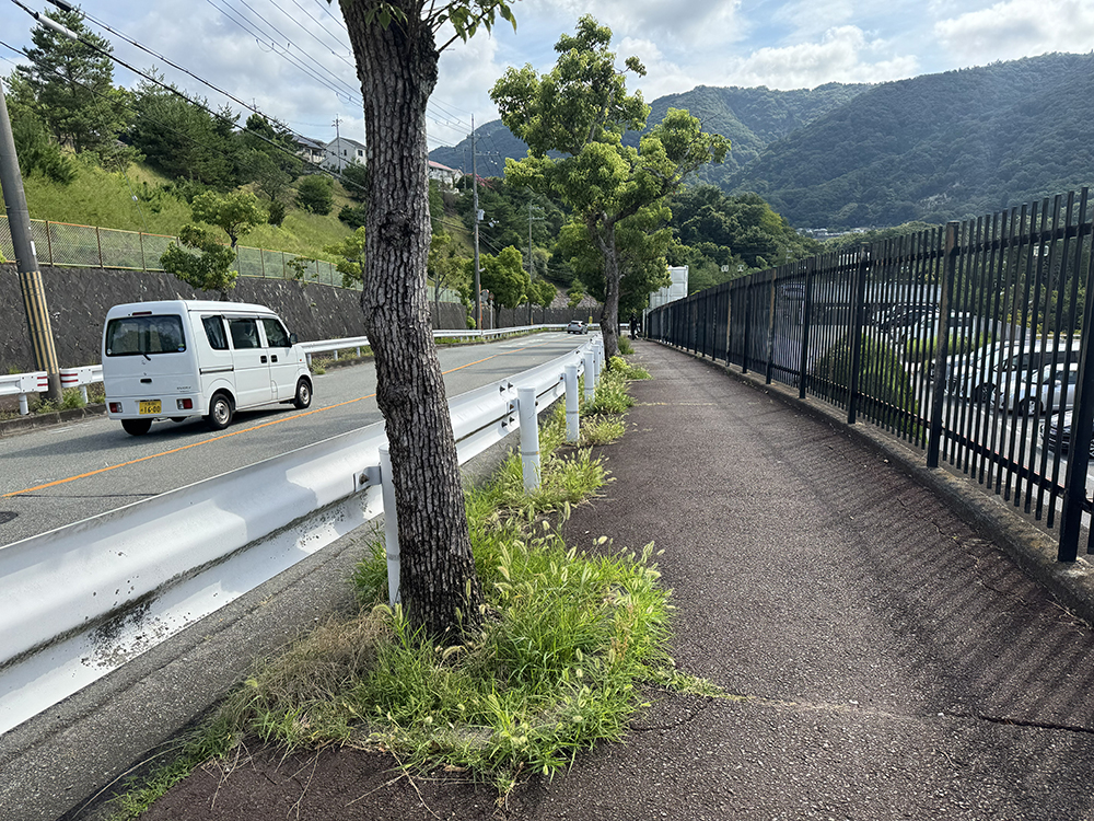 セラージュ駐車場裏の歩道