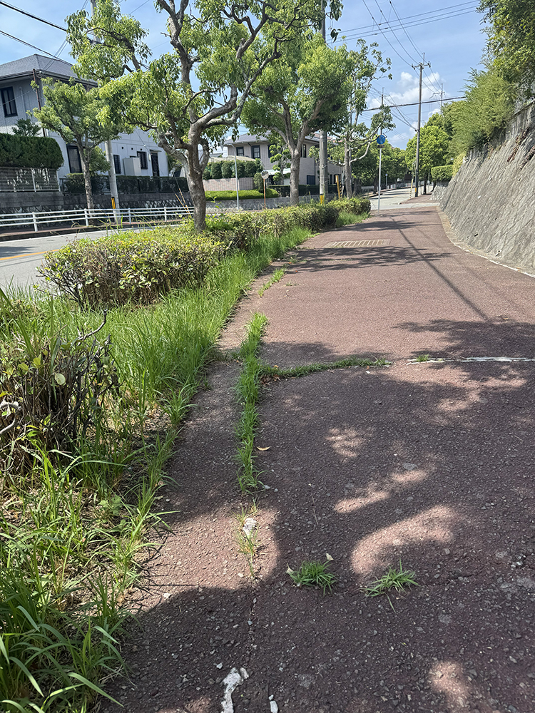 東公園から下るカーブの歩道