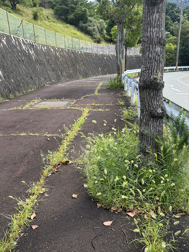コーナーには落ち葉がいっぱい