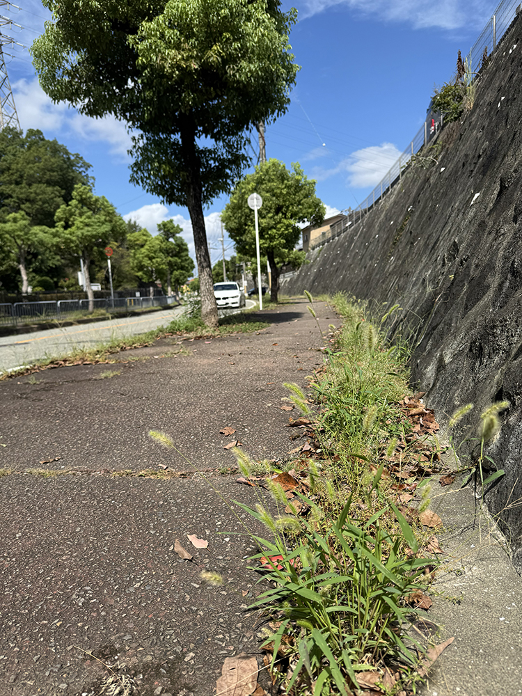 ローソン前バス停歩道