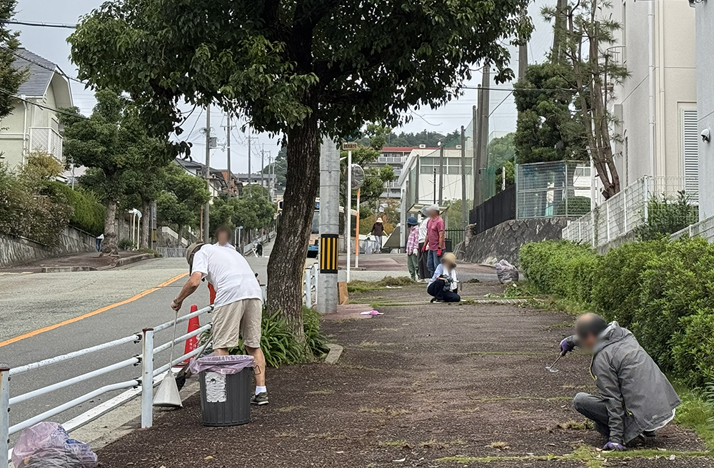 セラージュ駐車場裏の歩道