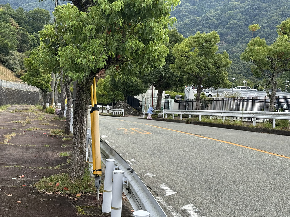 セラージュ裏の坂道への参加者は2人だけでした