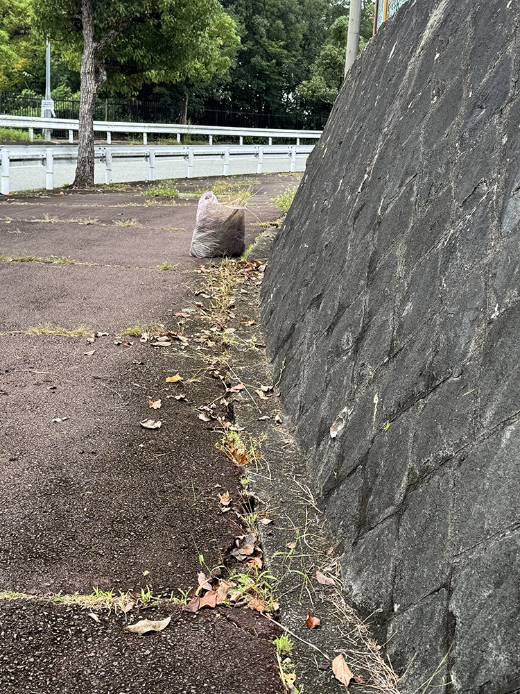 草引きした後