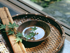 田中社・権太夫大神様の守役、奥村亭で感謝に出逢う