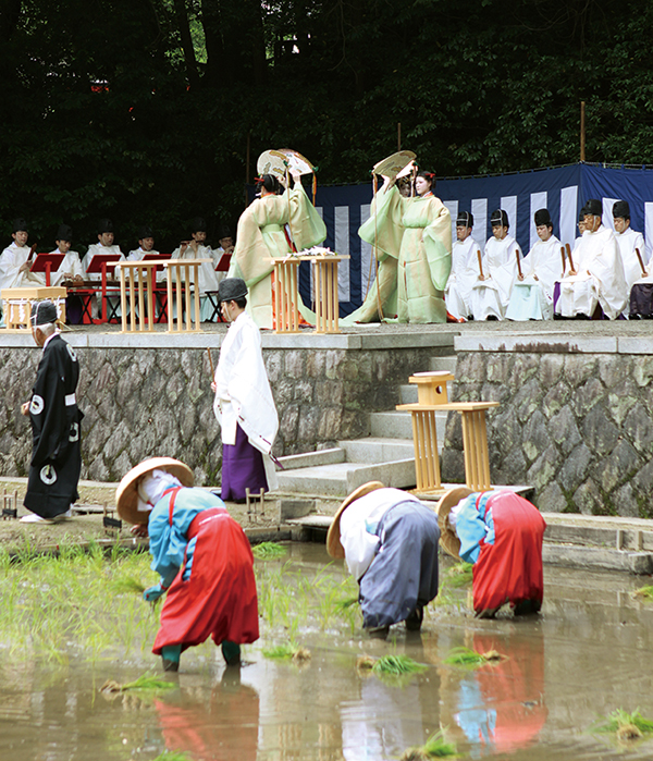 田植えをする早乙女