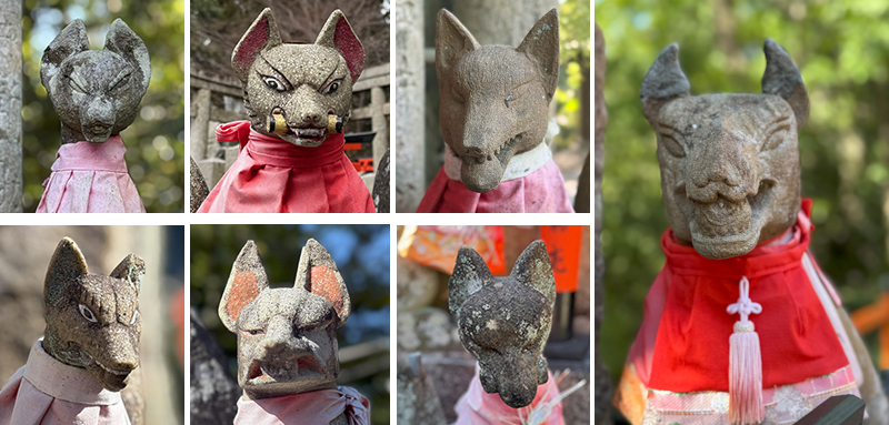 表情豊かな田中神蹟の眷属さんたち