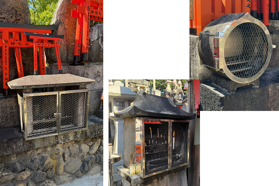 人間の頭上から下を見つめるカラス