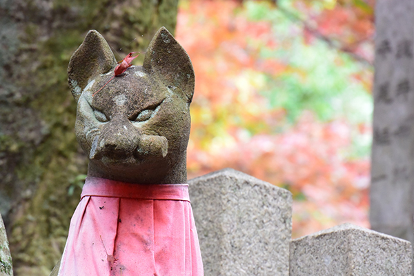 人間を見ているとされる眷属さん