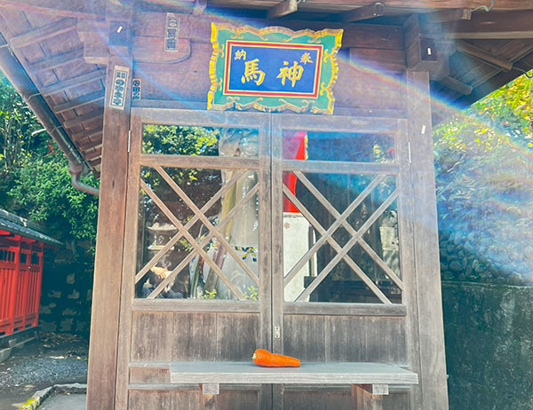 京都伏見稲荷大社の神馬さま